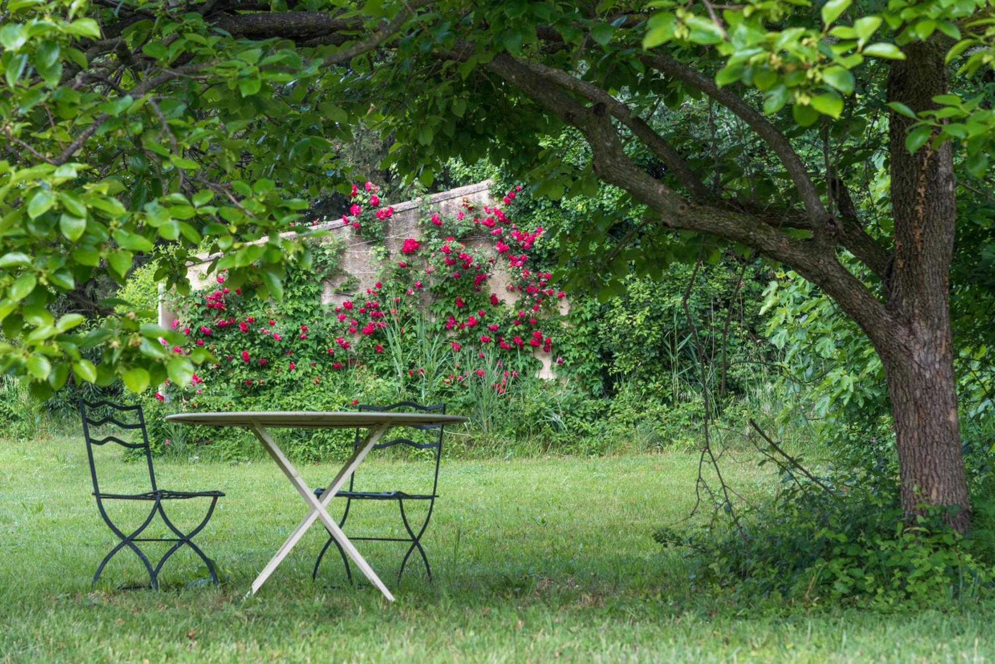 Villa Mas dans la campagne pour loisirs et télétravail Sarrians Esterno foto