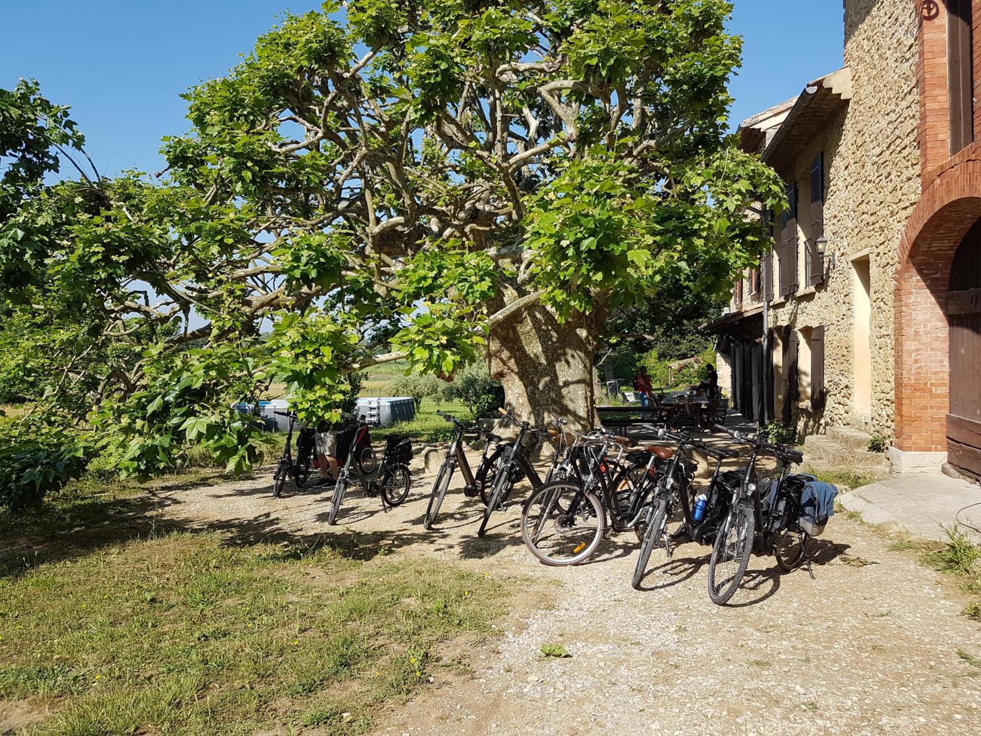Villa Mas dans la campagne pour loisirs et télétravail Sarrians Esterno foto